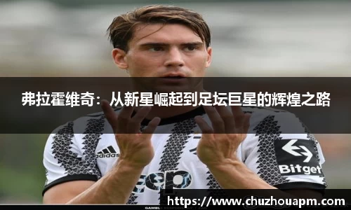 弗拉霍维奇：从新星崛起到足坛巨星的辉煌之路