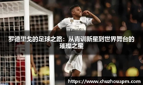 罗德里戈的足球之路：从青训新星到世界舞台的璀璨之星